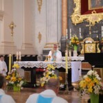 Деканальні паломництва: Радомишльський та Білоцерківський 7