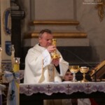 Урочистість Непорочного Зачаття Пресвятої Діви Марії 12